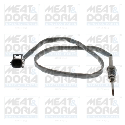 Sensor, exhaust gas temperature